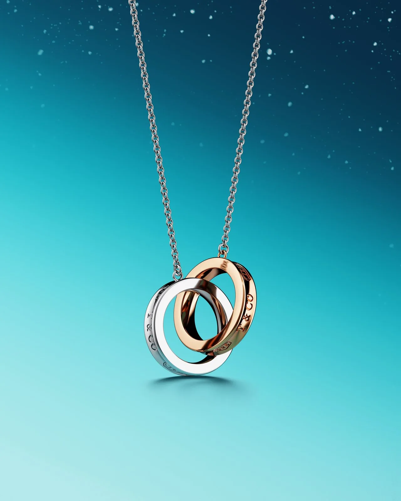 Tiffany & Co. — necklace render