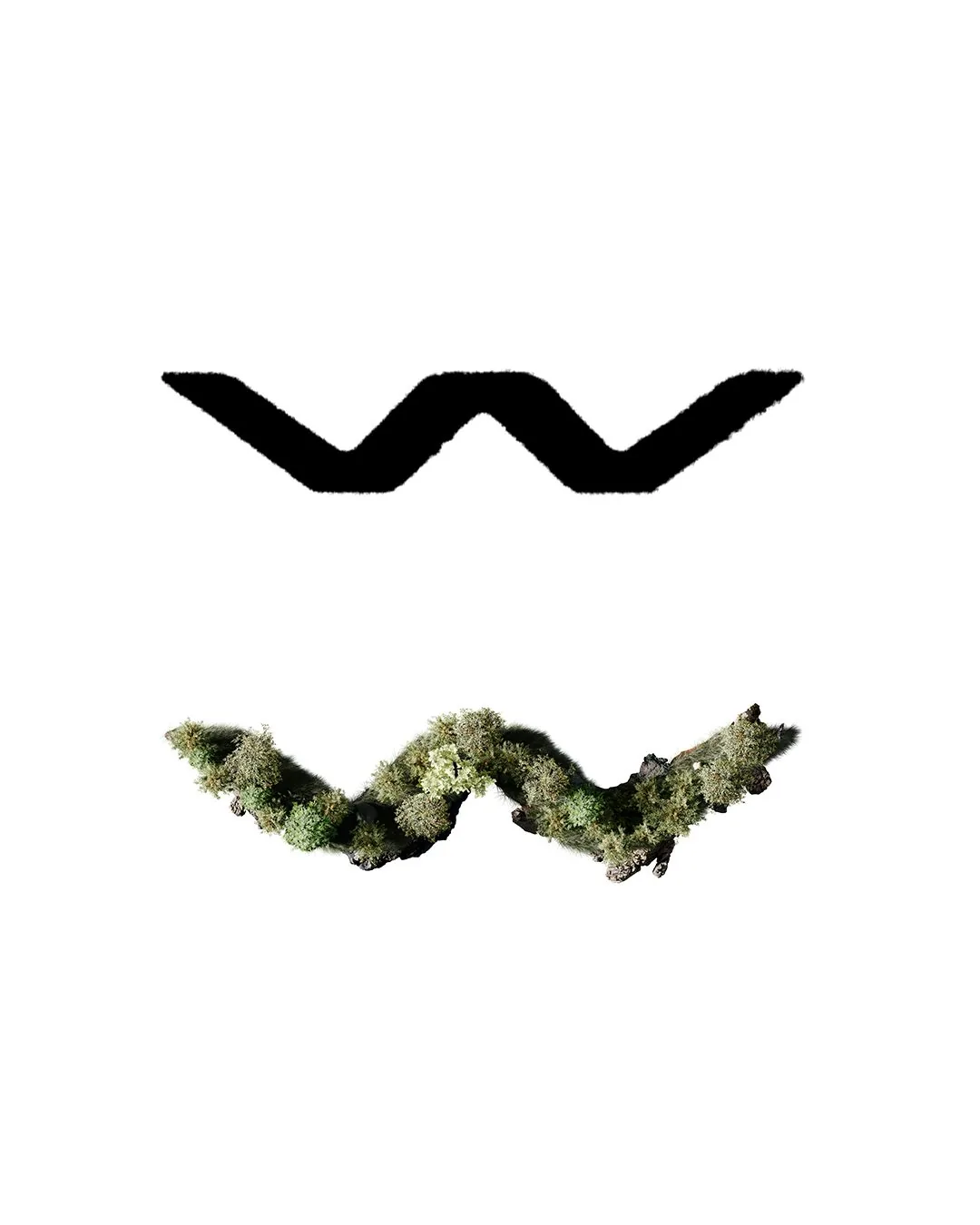 Wercors — logo mark compared to its natural moss & lichen reference